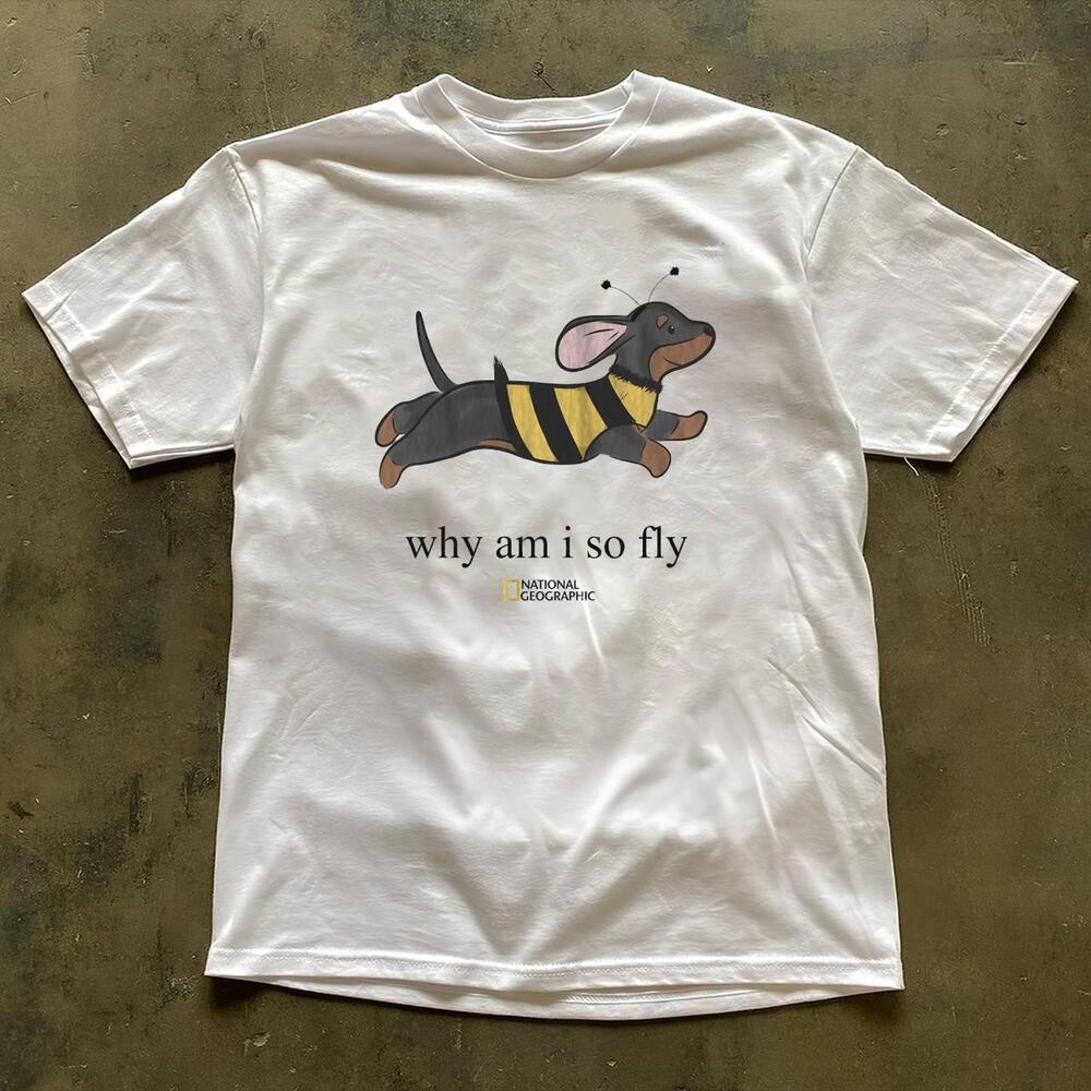 Style Why Am I So Fly Cute Dog Bee White Graphic Tee